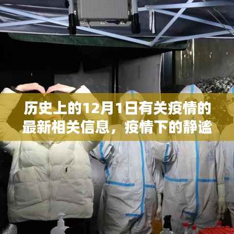 疫情下的静谧之旅,探寻自然美景与内心力量,历史上的疫情最新信息回顾