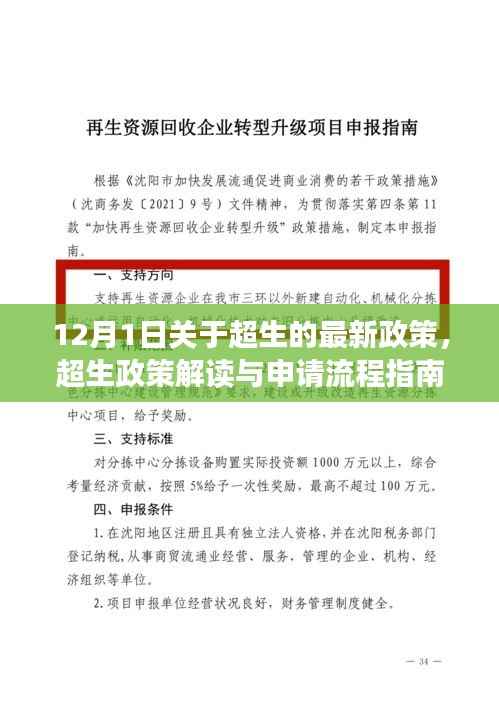超生政策解读与申请流程指南,最新政策解读适用于初学者与进阶用户