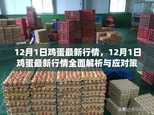 12月1日鸡蛋行情全面解析及应对策略指南