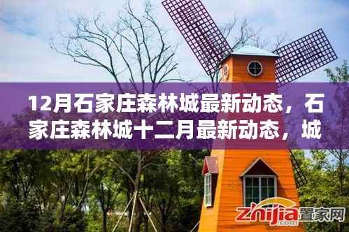 石家庄森林城十二月最新动态,城市绿肺新篇章开启