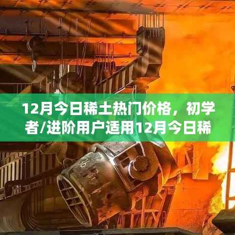 12月今日稀土热门价格详解,初学者与进阶用户查询及解读指南