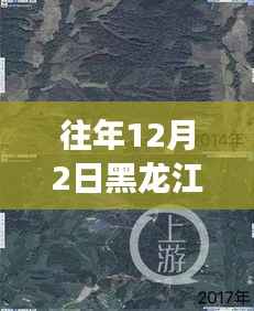 黑龙江毁林种参事件回顾,探寻背后的故事与启示,历年12月2日热门事件聚焦
