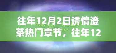 往年12月2日诱情澄茶盛典,热门章节深度解读与魅力探寻