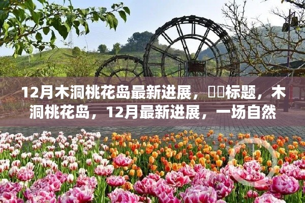 木洞桃花岛12月最新进展,自然美景中的心灵之旅启动