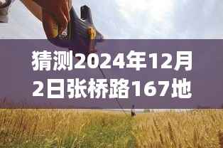 张桥路167地块，温馨日常的预测与小故事的美好展望（2024年12月2日）