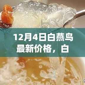探寻白燕鸟市场风云,最新价格揭秘与背后的故事