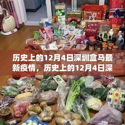 历史上的12月4日深圳盒马疫情事件深度解析与最新动态回顾