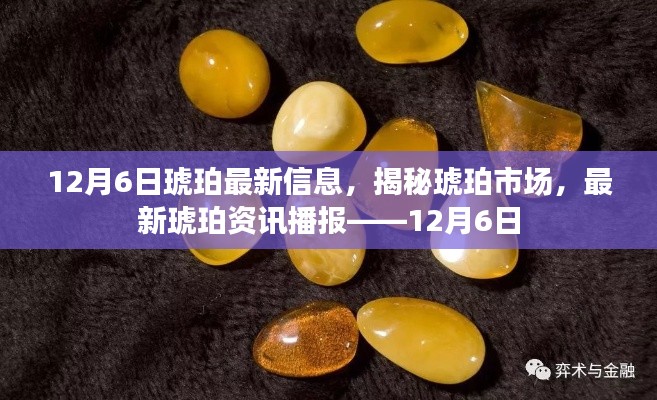 12月6日琥珀市场最新资讯揭秘与播报