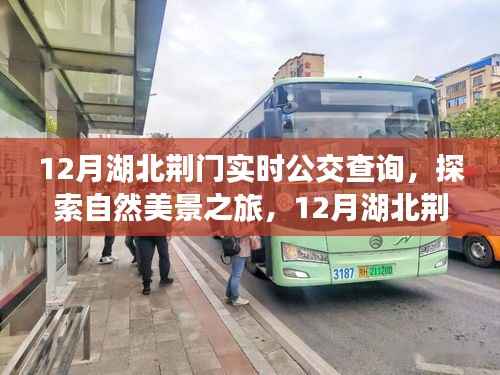 12月湖北荆门实时公交指南,探索自然美景之旅,寻找内心平静
