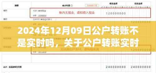关于公户转账实时性的深度评测,以2024年12月9日的转账体验为例
