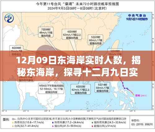 揭秘东海岸，十二月九日实时人数背后的故事