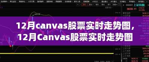 12月Canvas股票实时走势图产品全面评测与介绍,实时掌握股市动态