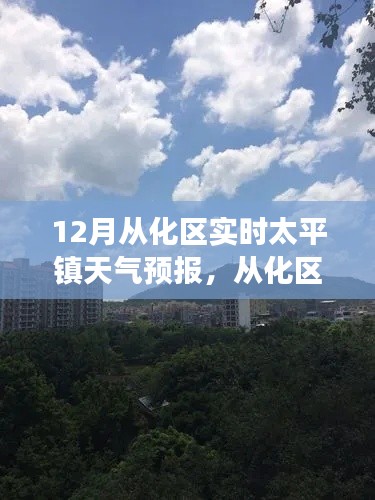 12月从化区太平镇天气预报,风云变幻的十二月天气解析