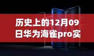 华为海雀pro实时回放功能的历史沿革深度解析与影响探讨