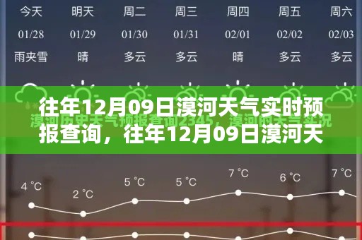 往年12月09日漠河天气实时预报查询全攻略,入门到精通指南