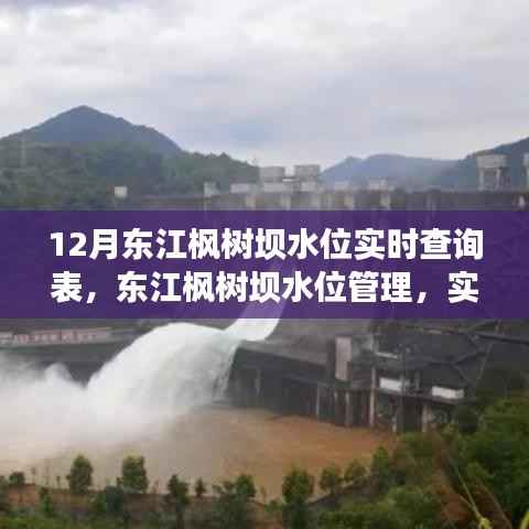 dunxueleigong 第4页