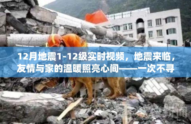 十二月地震实时记录,友情与家的温暖照亮心间