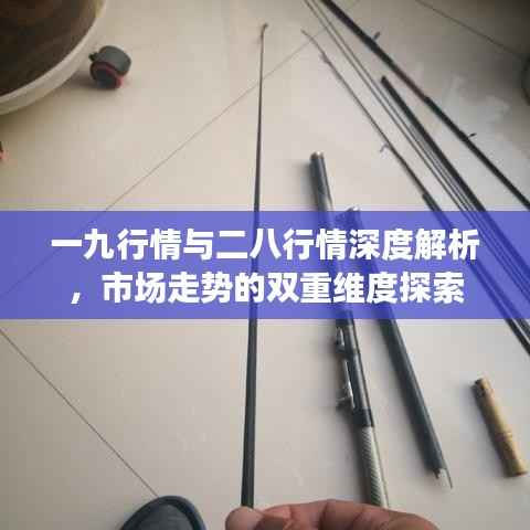 一九行情与二八行情深度解析，市场走势的双重维度探索