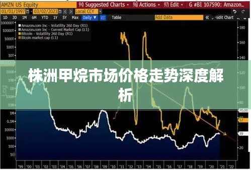 株洲甲烷市场价格走势深度解析
