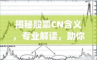 揭秘股票CN含义,专业解读,助你洞悉股市奥秘!