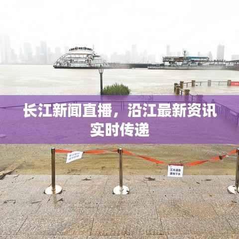 长江新闻直播,沿江最新资讯实时传递