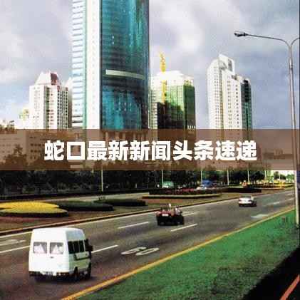蛇口最新新闻头条速递