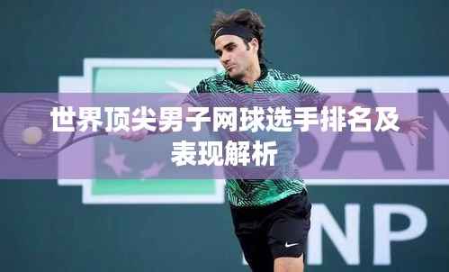 世界顶尖男子网球选手排名及表现解析