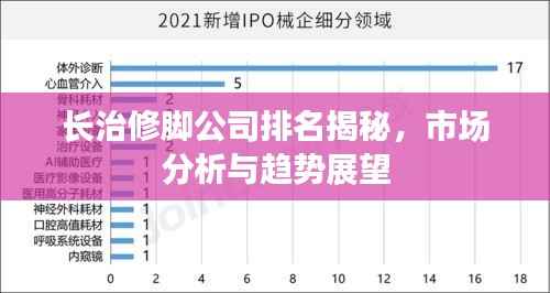 长治修脚公司排名揭秘,市场分析与趋势展望