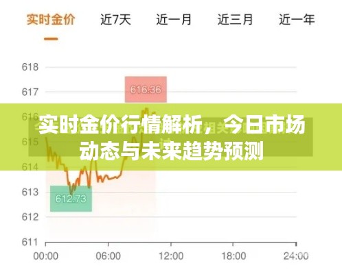 实时金价行情解析,今日市场动态与未来趋势预测