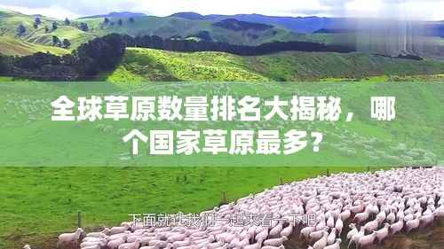 全球草原数量排名大揭秘,哪个国家草原最多?