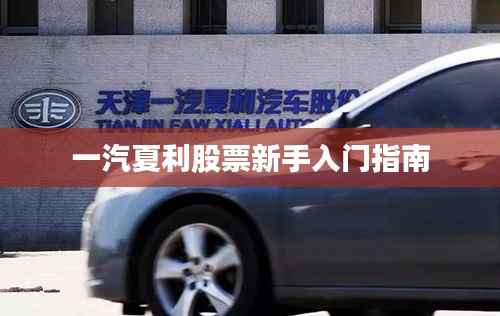 一汽夏利股票新手入门指南