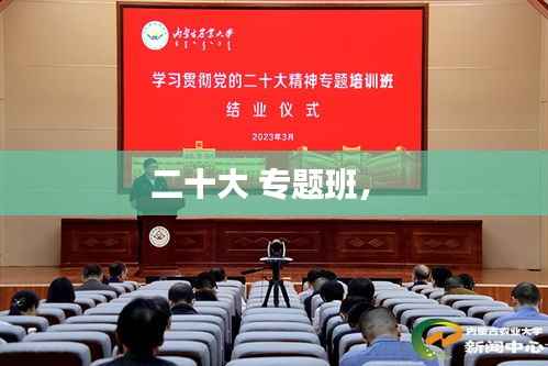 二十大 专题班,