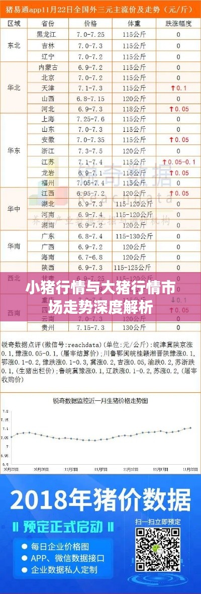 小猪行情与大猪行情市场走势深度解析