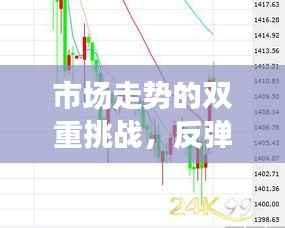 市场走势的双重挑战,反弹行情与瓶颈行情的双重考验