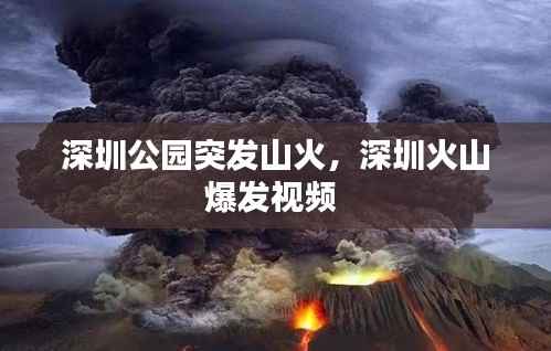深圳公园突发山火,深圳火山爆发视频