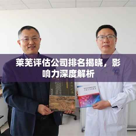 莱芜评估公司排名揭晓,影响力深度解析