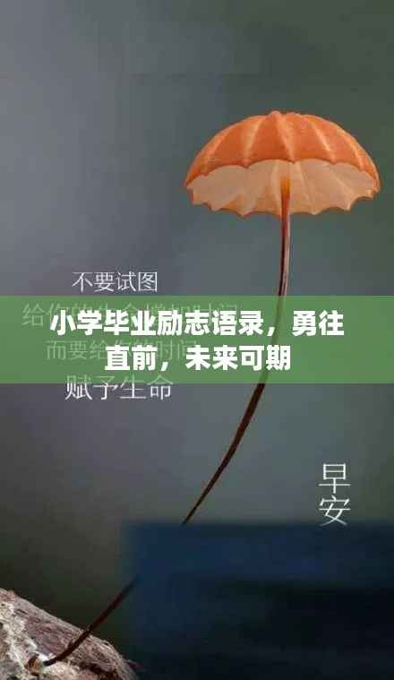 小学毕业励志语录,勇往直前,未来可期