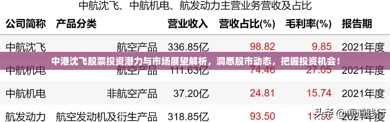 中港沈飞股票投资潜力与市场展望解析,洞悉股市动态,把握投资机会!