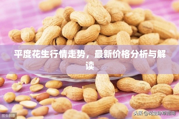 平度花生行情走势,最新价格分析与解读