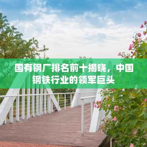 国有钢厂排名前十揭晓,中国钢铁行业的领军巨头