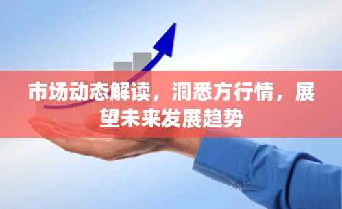 市场动态解读,洞悉方行情,展望未来发展趋势