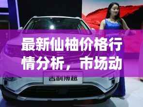 最新仙柚价格行情分析,市场动态一网打尽!