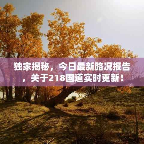 独家揭秘,今日最新路况报告,关于218国道实时更新!