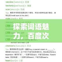探索词语魅力，百度次组词引领你走进词汇的奇妙世界