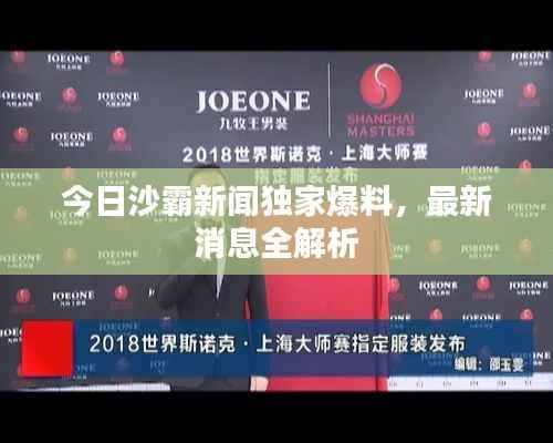 今日沙霸新闻独家爆料,最新消息全解析