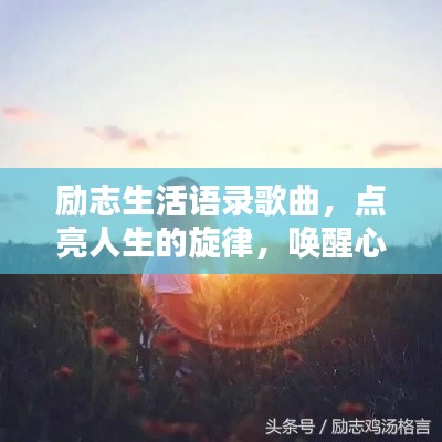 励志生活语录歌曲,点亮人生的旋律,唤醒心灵的力量