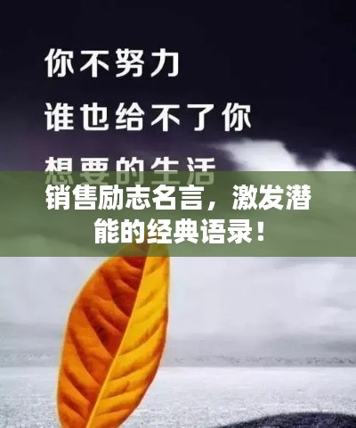 销售励志名言,激发潜能的经典语录!