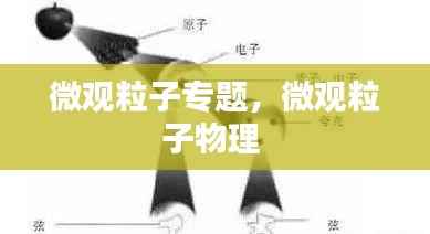 微观粒子专题,微观粒子物理