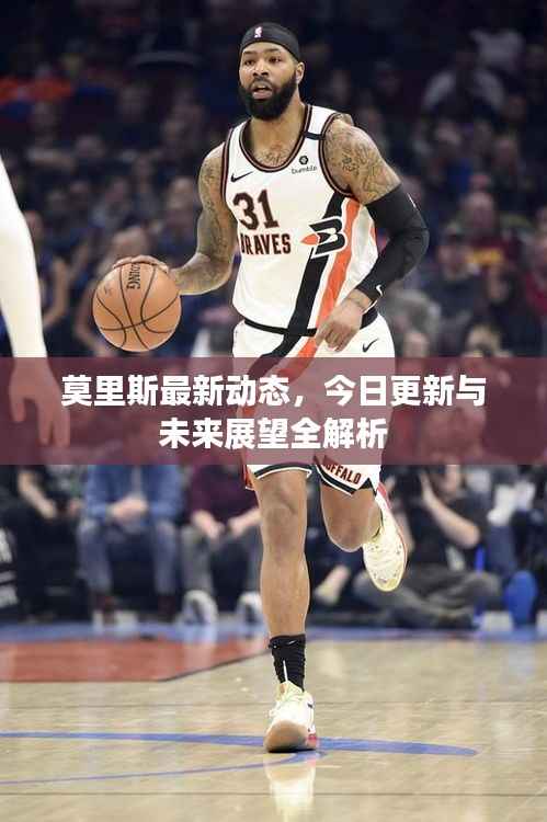 莫里斯最新动态,今日更新与未来展望全解析