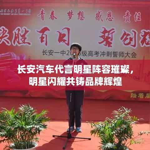 jiaoxiaolinglong 第2页